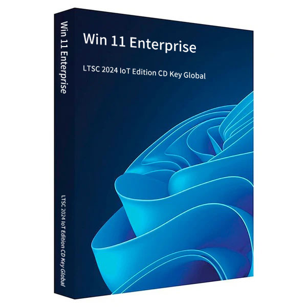 MS Win 11 Enterprise LTSC 2024 IoT Edition CD Key Global
