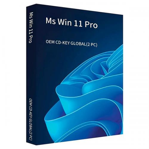 Official MS Win 11 Pro OEM CD-KEY GLOBAL(2 PC)