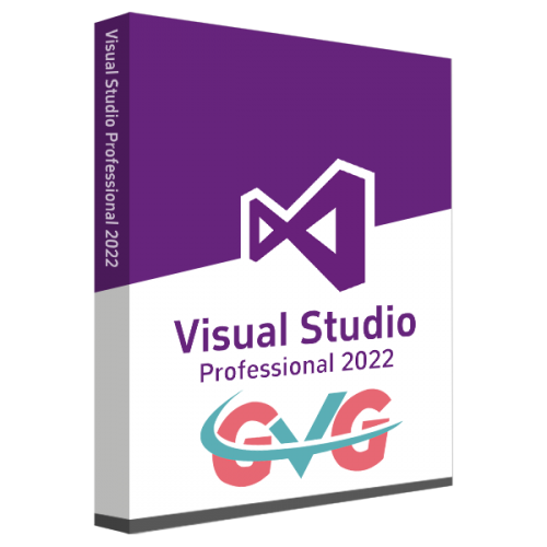 MS Visual Studio 2022 Professional CD Key Global
