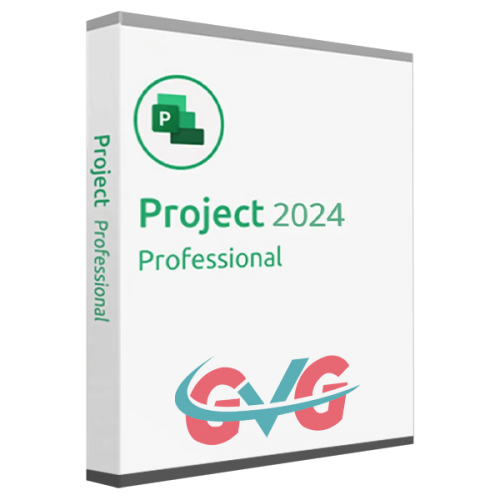 Project Professional 2024 Key Global